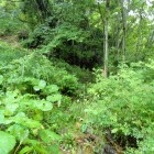 ⑤登城路