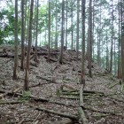 ⑦物見の段
