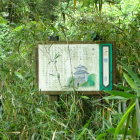 ⑨櫓台跡