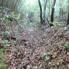 ③登城路