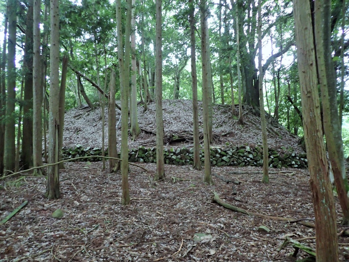 ①姫の丸から見た本丸の城壁