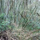 ③奧は平坦地？2