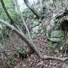 ⑤城壁の岩1