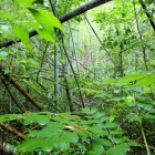 ⑧中に進入2