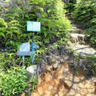 ⑧尾根ルートと本ルートの分岐点