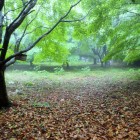 ②甲ノ丸内部