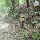 ⑥登城路