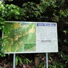⑦説明と縄張図(三郭)