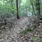 ⑧登山道