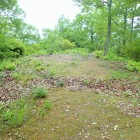 ⑧登城路2