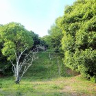 ⑦荒布櫓跡から本丸方向を見る