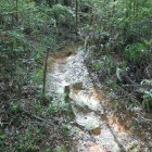 ⑩登山者に教えてもらった進入口