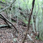 ⑥城壁の岩2