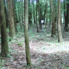 ④二郭