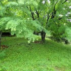 ⑧太鼓ノ段