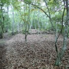 ④飛騨の丸下の段から見る飛騨の丸の石垣