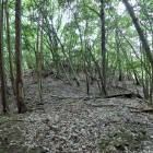 ⑥堀切から本丸方面を見上げる