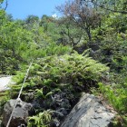 ⑦登城路
