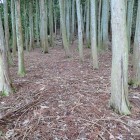 ⑤三の丸