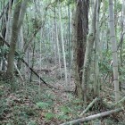 ④竪堀