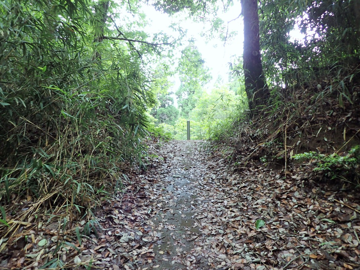 ①二の丸跡下の大堀切