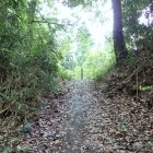①二の丸跡下の大堀切