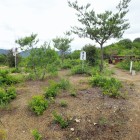 ⑧東出丸