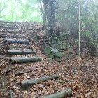 ①甲ノ丸虎口の石積1