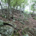 ⑧登城路１