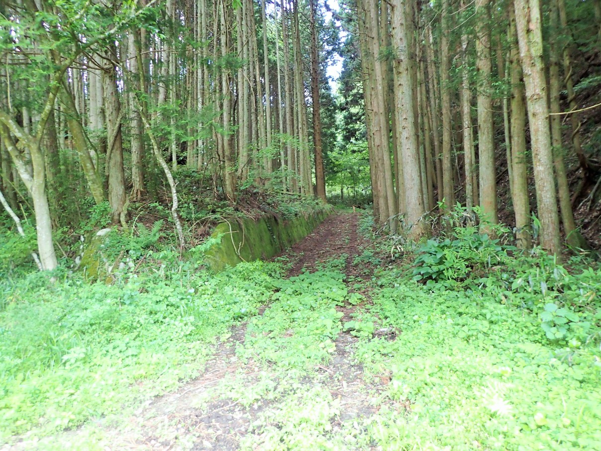 ①山への進入口