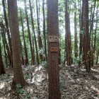 ①障子ヶ岳城