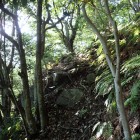 ⑥急斜面(登山道)