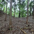 ⑧物見の段付近の堀切