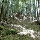 ⑥登城路