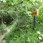 ⑦幸山城からの福山山頂直登コースはここにつくようです