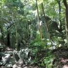 ⑥護館神(岩国城の出城)の大岩