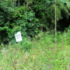 ⑨登城口