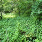 ④登城路