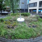 ①花時計