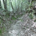 ⑤登城路