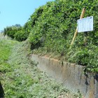 ⑤登り口・説明板前