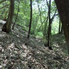 ⑤堀切