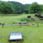 ⑧庭園