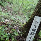 ⑤手のくぼり