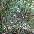 ⑩遺構ではありませんが竪堀みたいに見えます