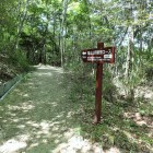 ⑧福山山頂直登コースへの案内