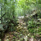 ⑨登城路