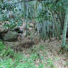①土塁？石積？と竪堀？