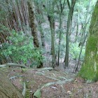 ③本丸から堀切を見下す