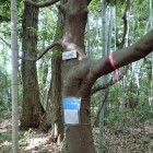 ①向山城標識1
